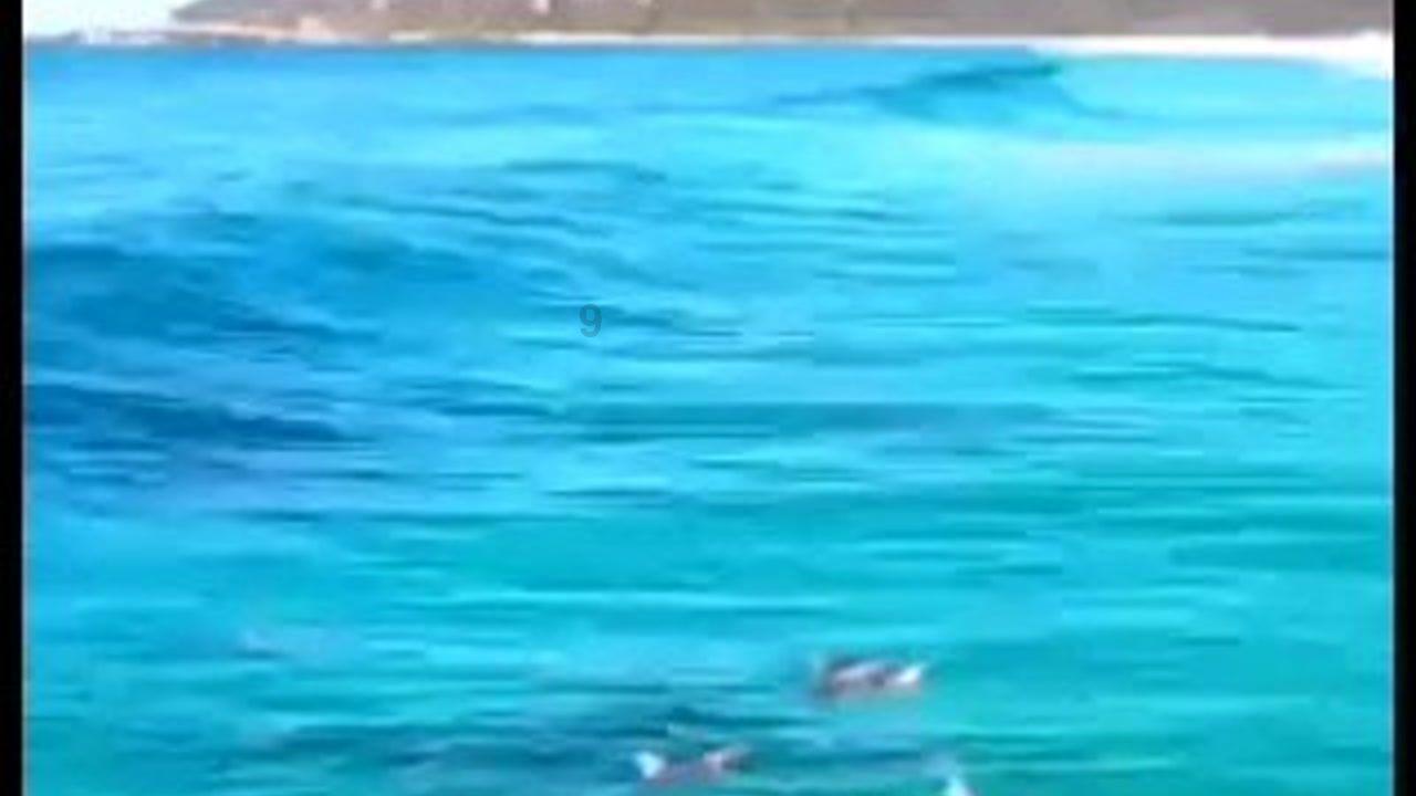 hahabetcom官网星辰大海